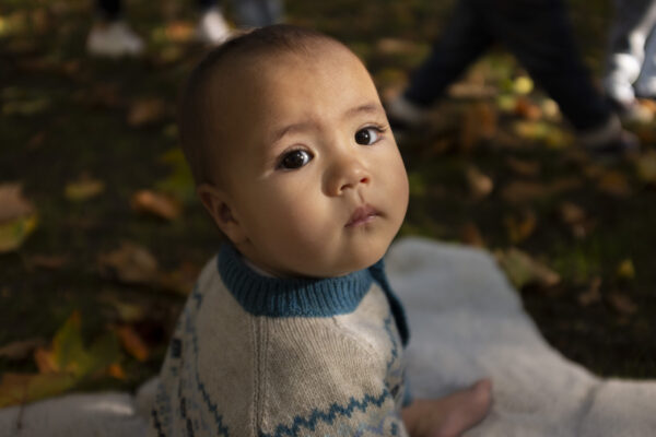 Eden Linen Fairisle Raglan Pramsuit