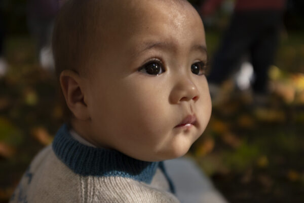 Eden Linen Fairisle Raglan Pramsuit - Image 8
