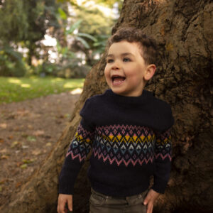 Aurora Rainbow Fairisle Navy