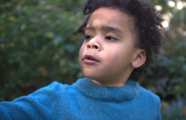 The EVERYDAY COMFORT Jumper FORREST GREEN - Image 9