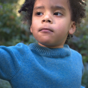 The EVERYDAY COMFORT Jumper FORREST GREEN
