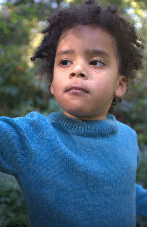 The EVERYDAY COMFORT Jumper FORREST GREEN